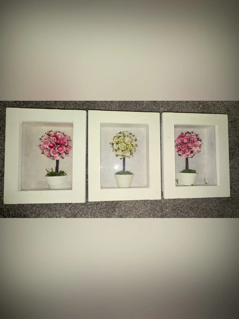 Framed Topiary Wall Art Set - Pink & Cream Floral Shadow Boxes